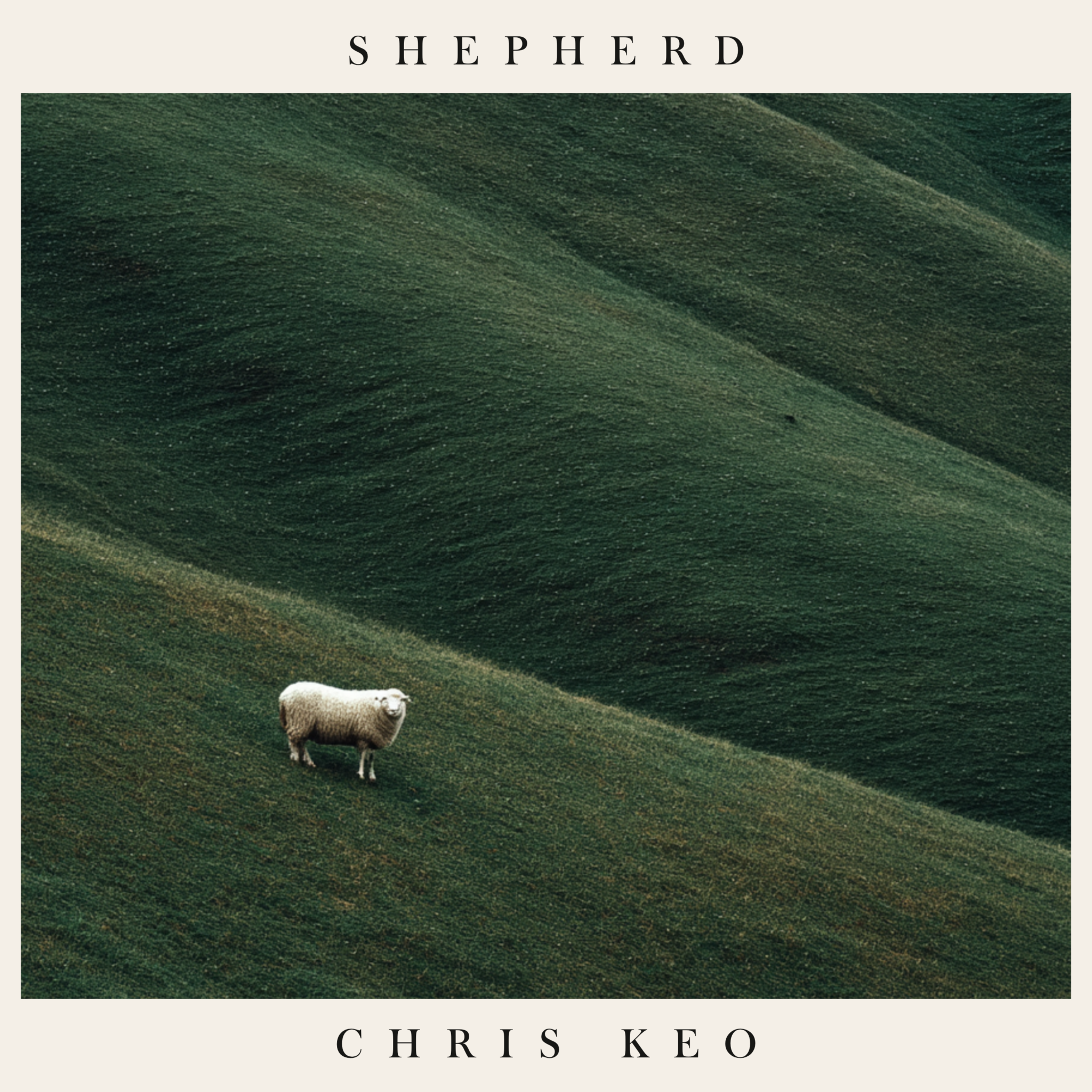 shepherdcover